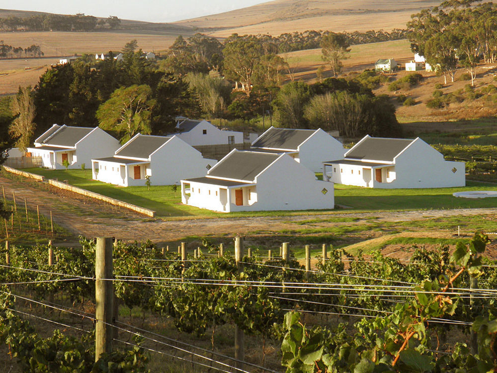 Maison d'hôtes Endless Vineyards At Wildekrans Wine Estate à Botrivier Extérieur photo