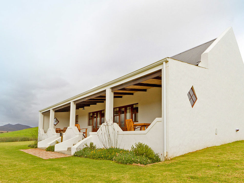 Maison d'hôtes Endless Vineyards At Wildekrans Wine Estate à Botrivier Extérieur photo
